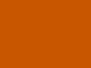 LCS-1577パンプキンオレンジ