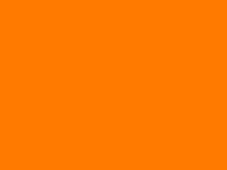 LCS-1575サンオレンジ(裏白)