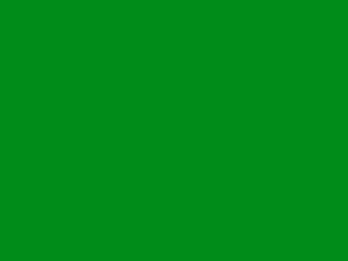 S4446Cスペクトラムグリーン